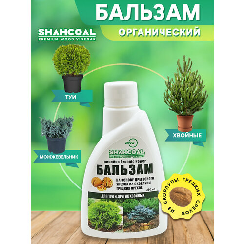 ���� ������� ��� ��� � ������� ������� ������������ ��������� ����������������� ������ ������