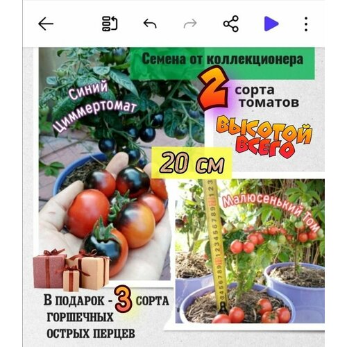 ���� ������ ��� ���������� �����������, ����� ����������� � ����������� ���, �������� �������� � ���, ������������� ����� ������ ������