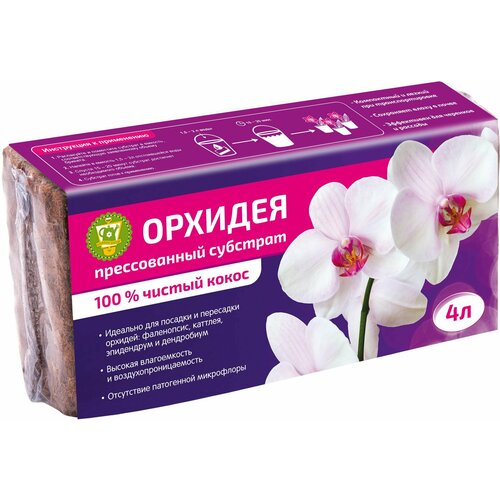 ���� �������� ��������� ��� �������� ��x���� 4 � ������ ������ ������