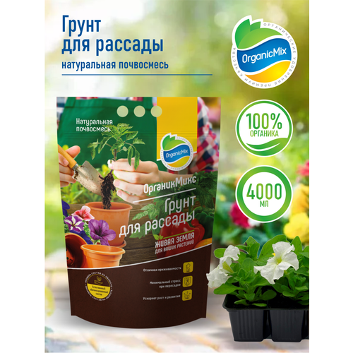 ���� ����� ��� ������� ����������� 4 ����� ������ ������