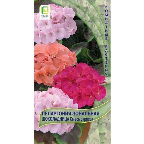 ���� ���������� ��������� ����������� ����� ������� 5 �����, ����� ������ ������