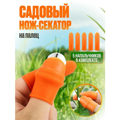 ���� ���������� � ������� ������� �� ����� ������ ������