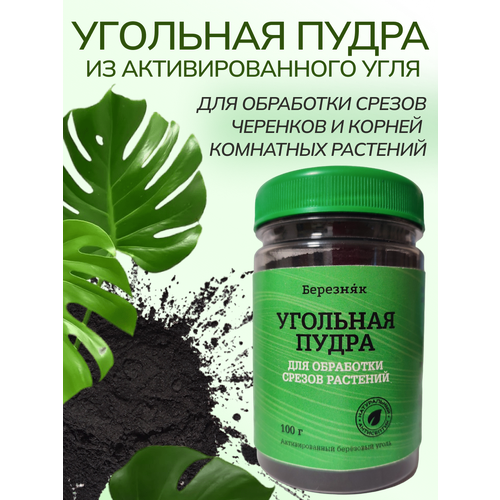 ���� �������� ����� ��� �������� �������� 100 ����� ������ ������