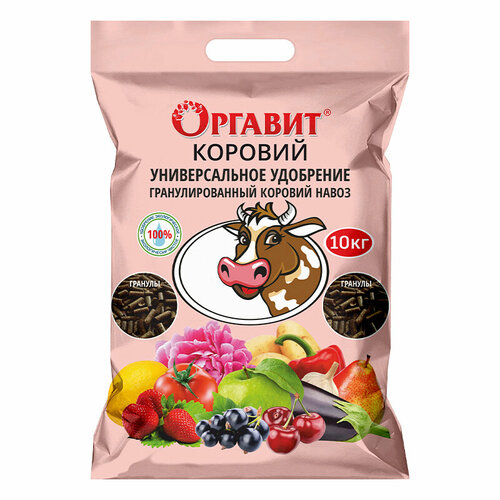 ���� ��������� ������� ������� 10 �� ������ ������