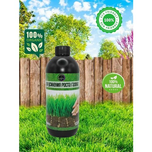  Crazy Jack Green Lawn    250    -     , -, 