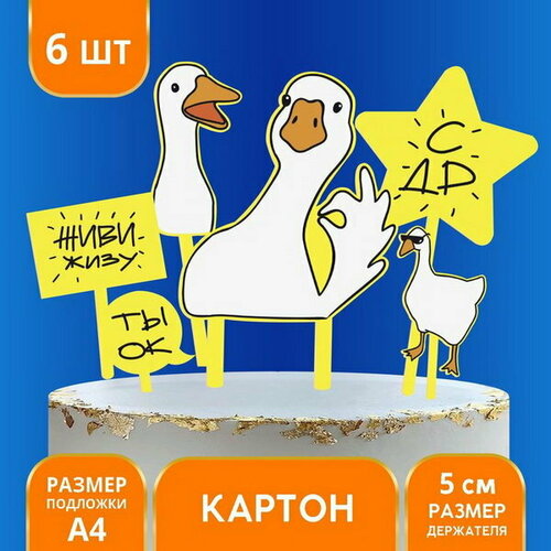 ���� ������ ��� ����� 