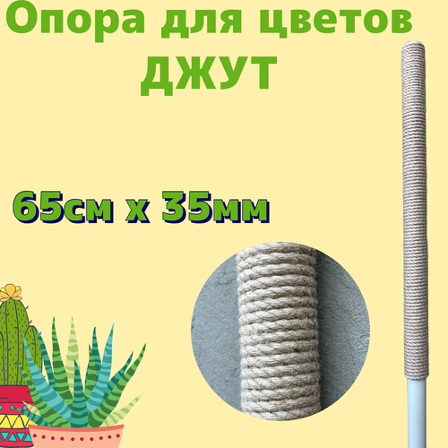 ���� ����� ��� �������� 65 �� / ����� / ���� ������ ������