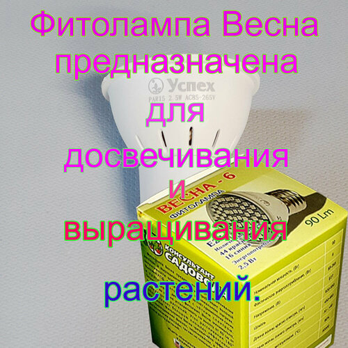 ���� ��������� 