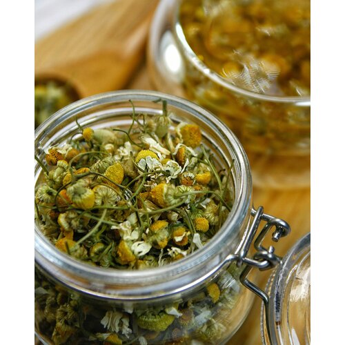 ���� ������ ������� ������� 50 �� - ����� �����, �������, �������� ��������� ���, ������� ������ ������