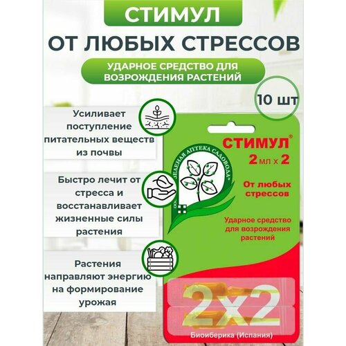 ���� ������ ���������� ��� ����� � �������� � ������� 2�2�� 10 ��. ������ ������