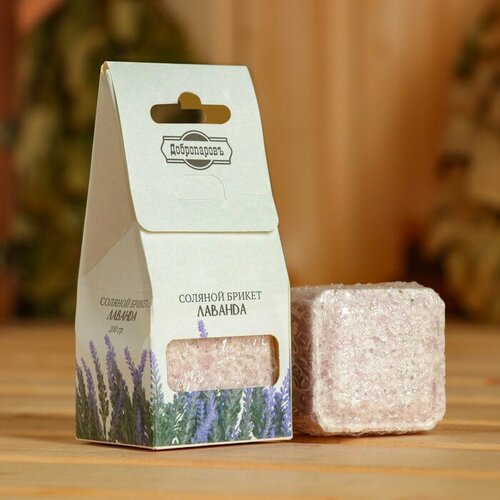 ���� ������� ������ ��� 