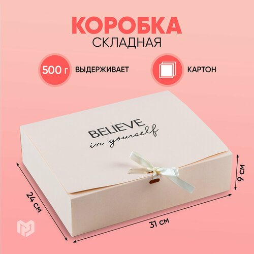 ���� ������� ���������� ������������, 31 ? 24,5 ? 9 �� ������ ������