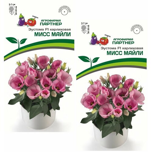 ���� ������ ������� ���������� ���� ����� F1 /��������� �������/ 2 �������� �� 5 ����� ������ ������