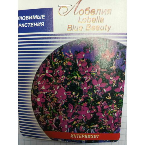   Blue Beauty 100    -     , -, 