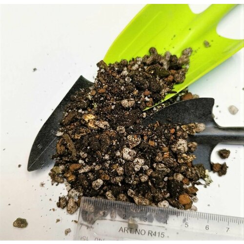 ���� �������� 