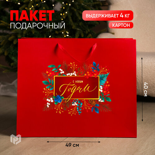 ���� ����� ���������� ������ ������� ������� ���������� XL, 49x40x19 ��, ������� ������ ������