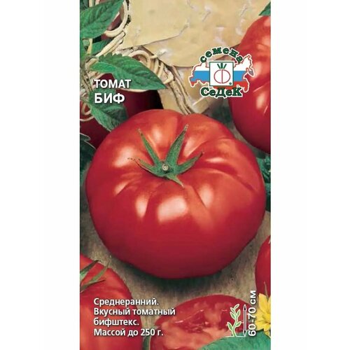 ���� ����� 