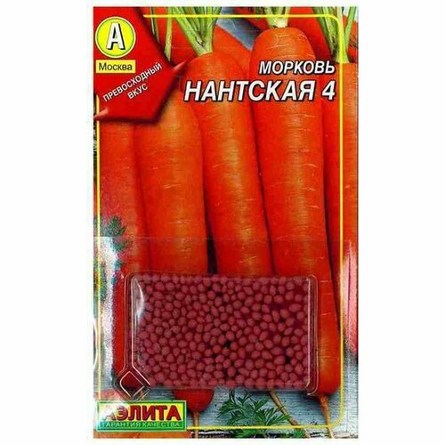 ���� ������ ������� ��. �������� 4 (������) 300�� ������ ������