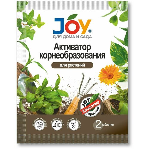   JOY   , 2.   -     , -, 