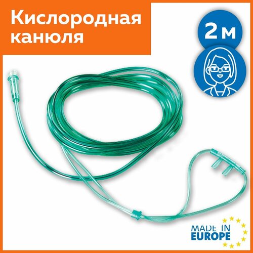 ���� ����������� ������ (��������) ����� 2� ������ ������