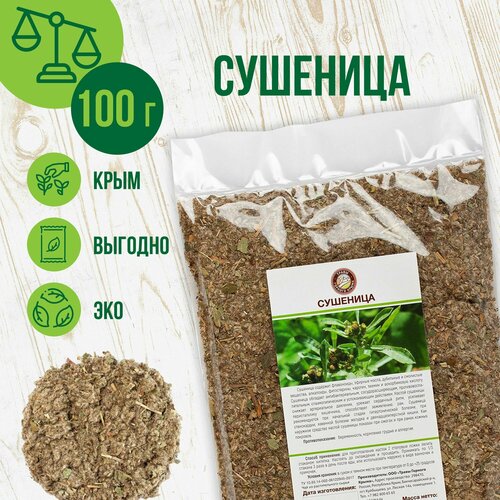 ���� �������� �������� �������, 100 �� ������ ������