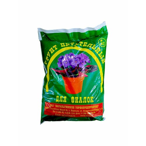 ���� ����� ��� ������ 5 �. ������ ������