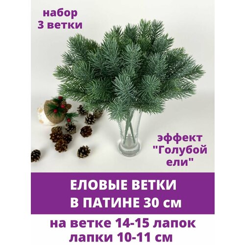 ���� ������ ����� � ������, ������ 