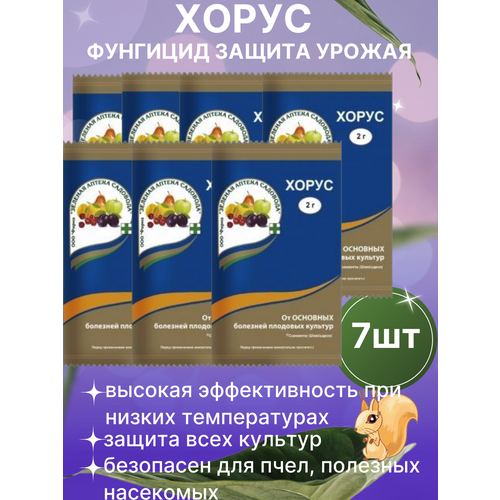 ���� �������� ������ �������� �� �������� ����� 7 �� ������ ������