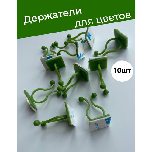 ���� ������ ��������� ��� �������� ������������� ����� �� ����� ������ ������
