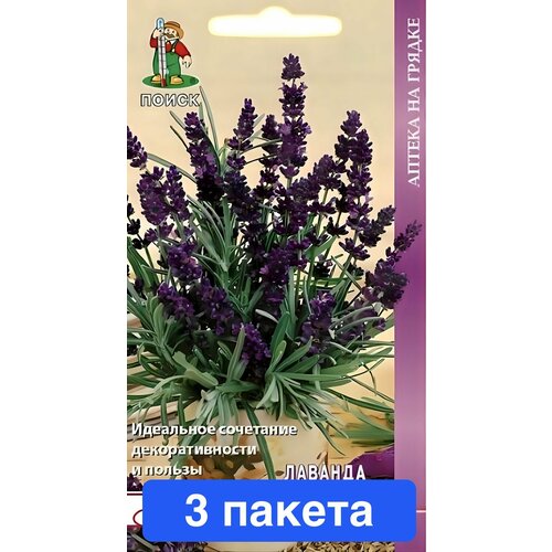 ���� ������ ������ � ��������� ����� 