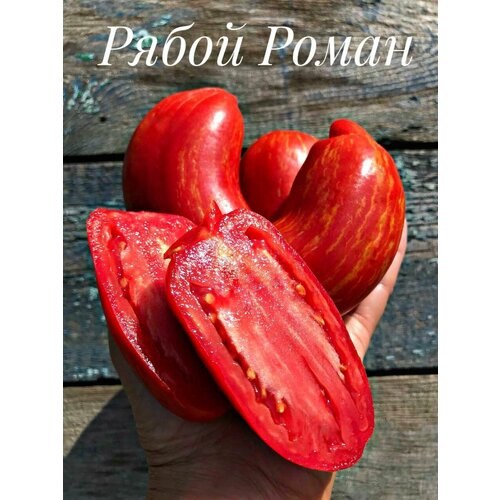 ���� ������������� ������ ������ ����� ����� ������ ������