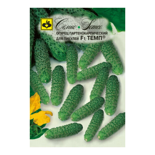 ���� ������ ������ ���� F1 10�� ������������������ ������ (�����) ������ ������