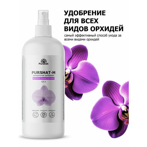 ���� ��������� ��� ���� ����� ������� ����� ������ 500 �� ������ ������