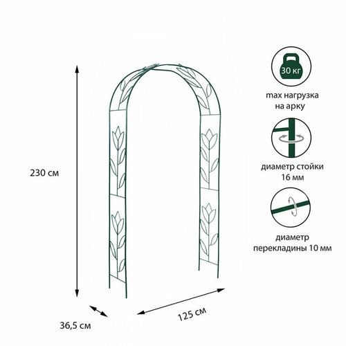 ���� Greengo ���� �������, ���������, 230 ? 125 ? 36.5 ��, ������, ������, ��������� ������ ������