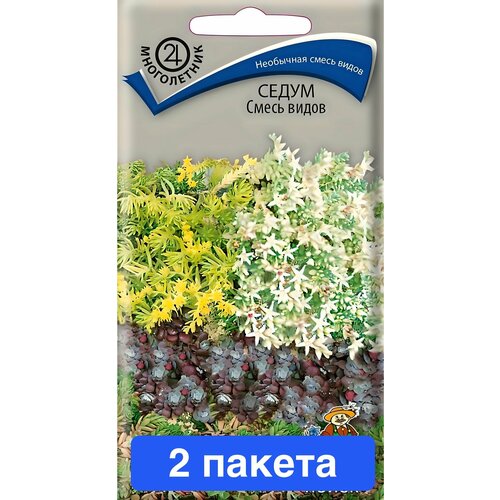 ���� ������ ������ ����� 