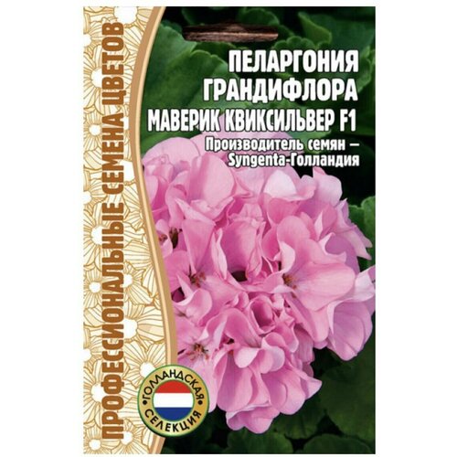 ���� ������ ���������� ����������� 