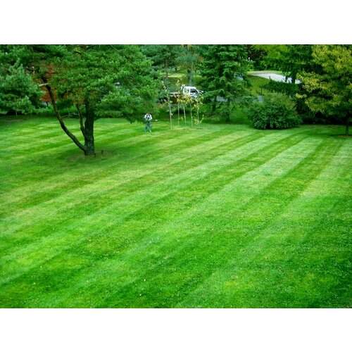 ���� ����� ����� �������� ���� ������� �����, ����� ������ ������ ����������������, �� ������� ������� ����������, 500 �� ����� ������ ������