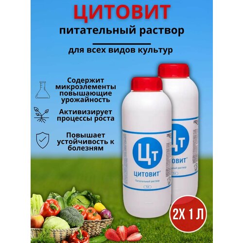 ���� ��������� ��������� ����� � �������� ��������, �������� ����� � �������������� ������� 1 �, 2 �� ������ ������