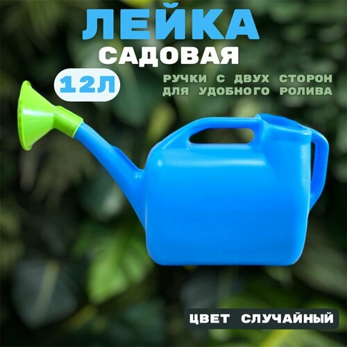 ���� ����� ������� 12� / ����� ��� ���� � ������������� 12 ������ / ������� ����� ������ ������