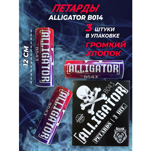 ���� ������� ���� ������ 16 B043 