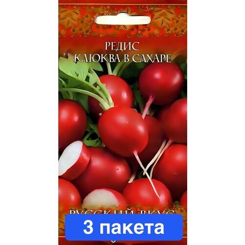 ���� ������ ������ ������ 