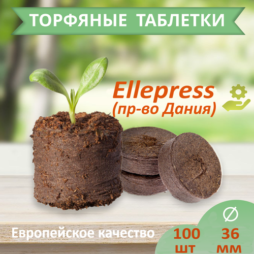    ELLEPRESS 36  100    -     , -, 