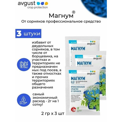 ���� ���������������� �������� ������ 