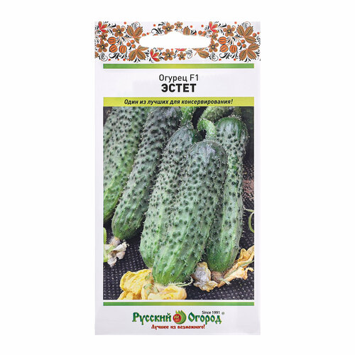 ���� ������ ������ ����� F1 10�� ������������������ ������ (������� ������) ������ ������