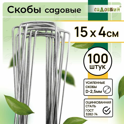 ���� ����� ������� �-�����, ������ 15�� � 4��, d-2.5��, (100 ��) ������ ������