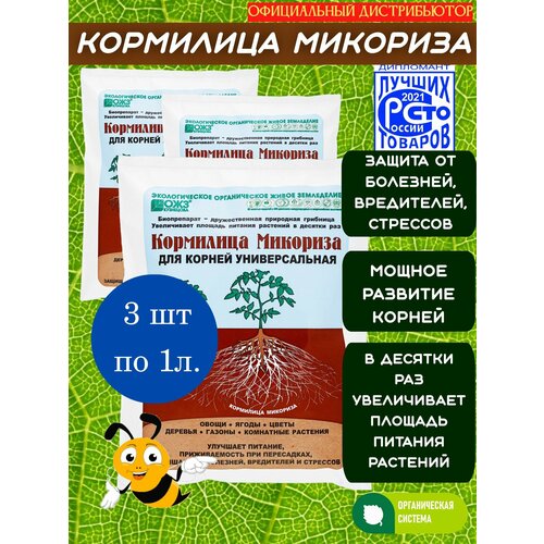 ���� �������� ��� ������� � ����� ������, ������� � ������ ��������, 1� � 3 �� ������ ������