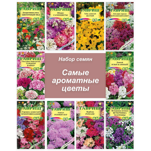 ���� ������ ��������� ������ ��� ���� ������ ������