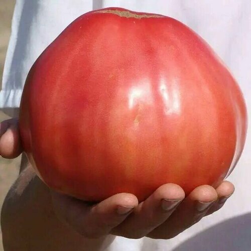 ���� ������������� ������ ������ ����� ������ ������ ������ ������