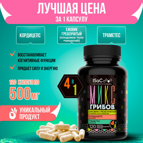 ���� ���� ������ ������ �����������, ���������, �������� 120 ������ �� 500 �� ������� � �������� ����� ������ ������