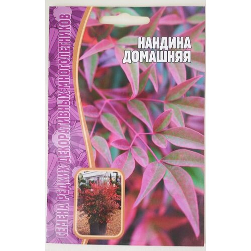 ���� ������ ������ �������������: ������� �������� ������ ������